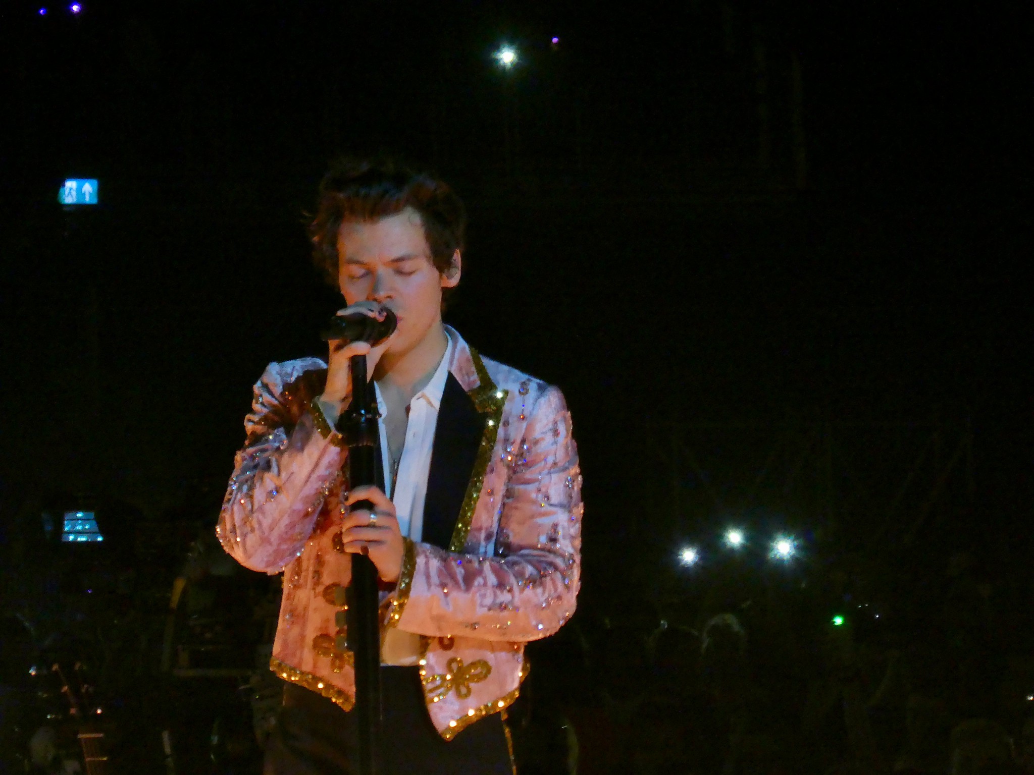 Le chanteur Harry Styles